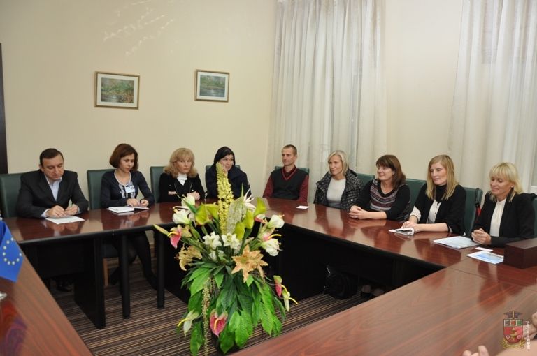 Proiect în domeniul medicinei sportive Proiect în domeniul medicinei sportive